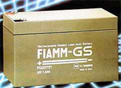  FIAM GS