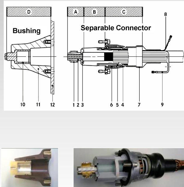   Connex