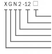XGN2-12(Z)  - 