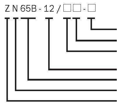 ZN65B-12 обозначение